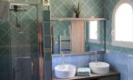 Waschzimmer mit begehbarer Dusche
